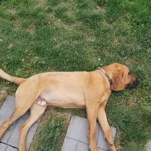 Meet your Posher, Zachary